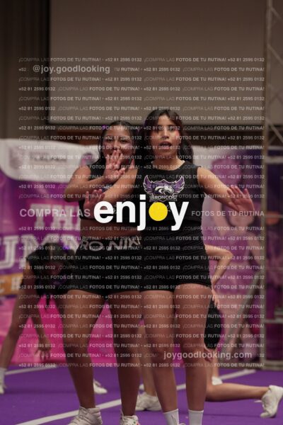 Joy07 Joy06505