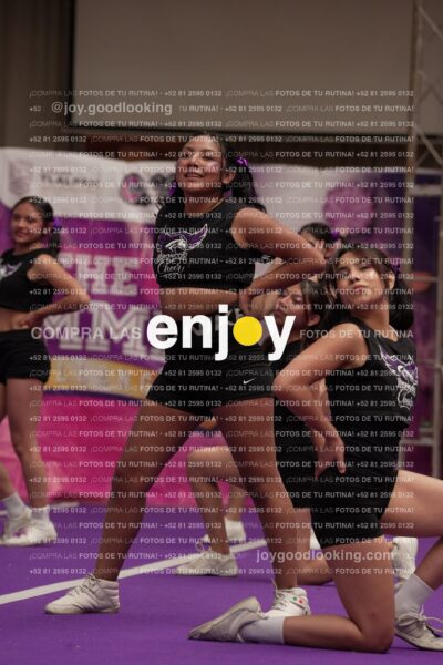 Joy07 Joy06507