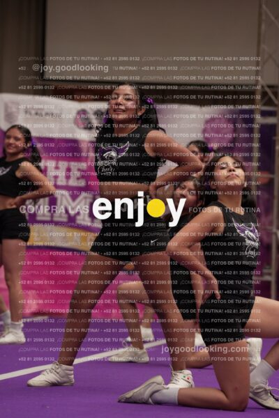 Joy07 Joy06508