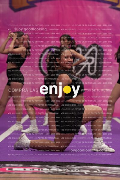 Joy07 Joy06515