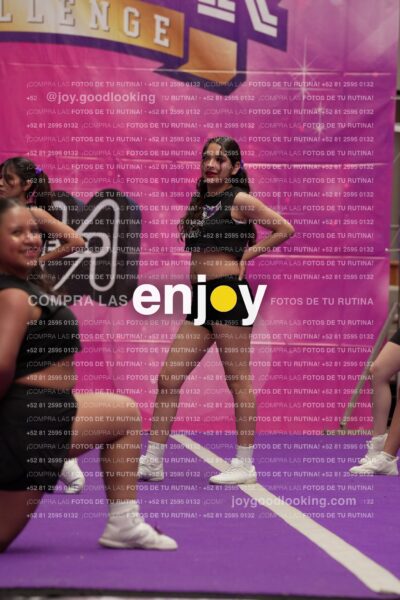 Joy07 Joy06516