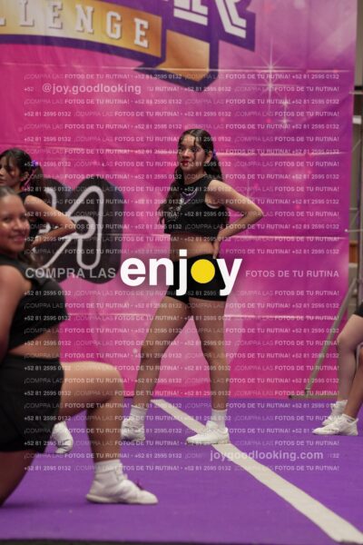 Joy07 Joy06517