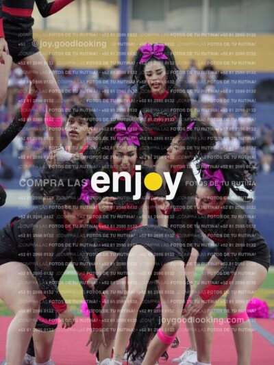 Joy08087