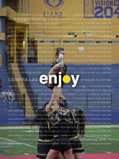 Joy08255