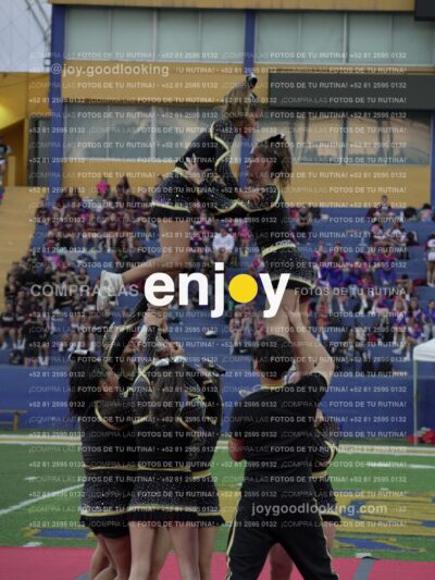 Joy08303