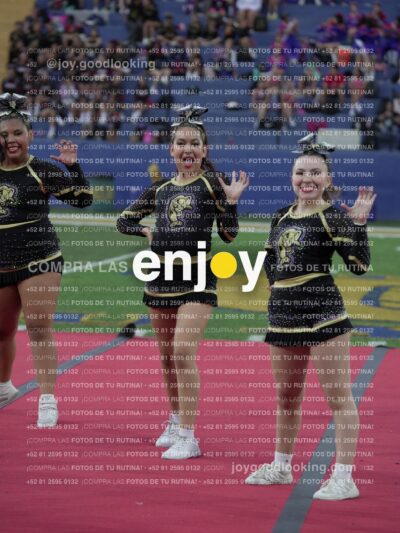 Joy08366