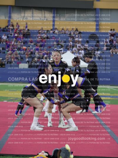 Joy08379