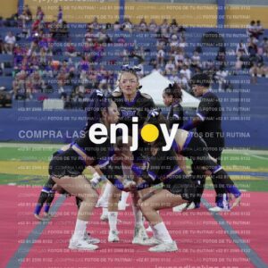 Joy08379