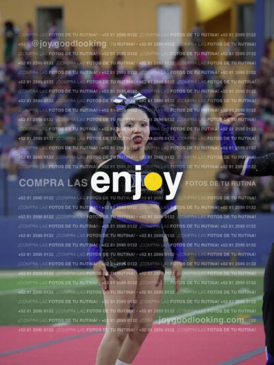 Joy08452