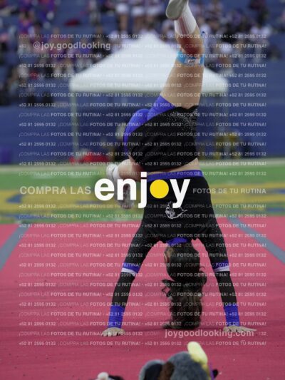 Joy08456