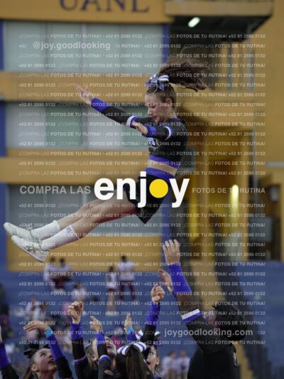Joy08485