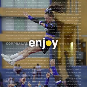 Joy08485