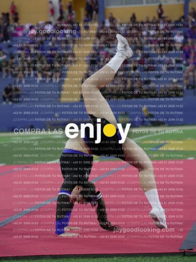 Joy08486