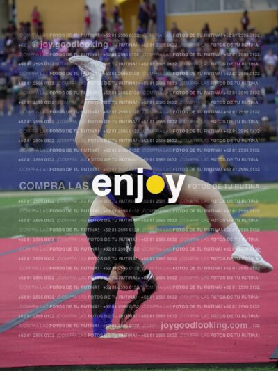 Joy08487
