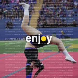 Joy08487