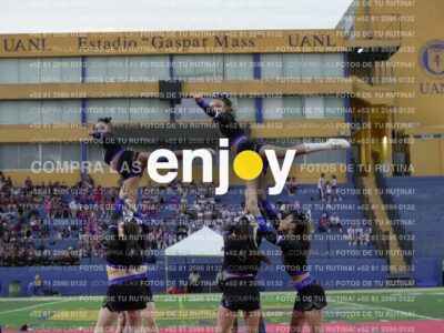 Joy08506