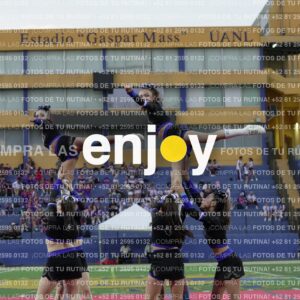 Joy08506