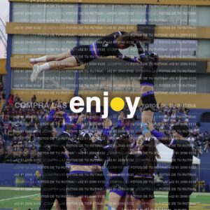 Joy08541