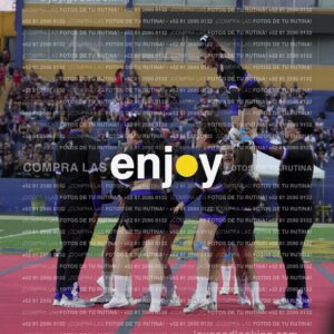 Joy08544