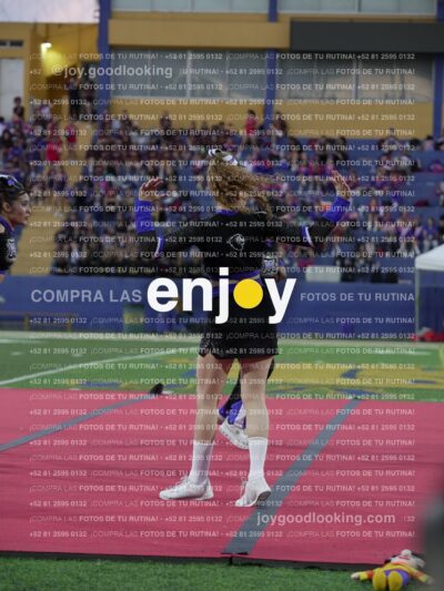 Joy08553