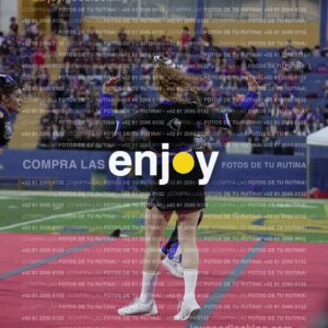 Joy08553