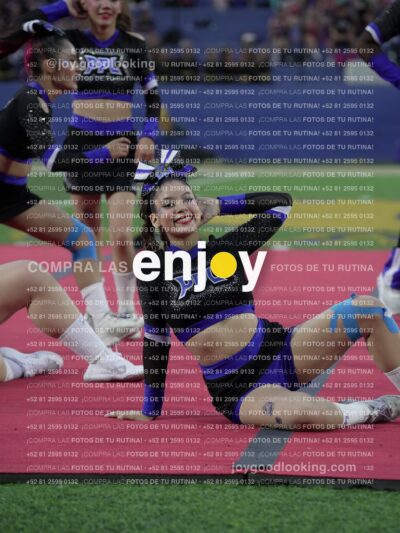 Joy08565