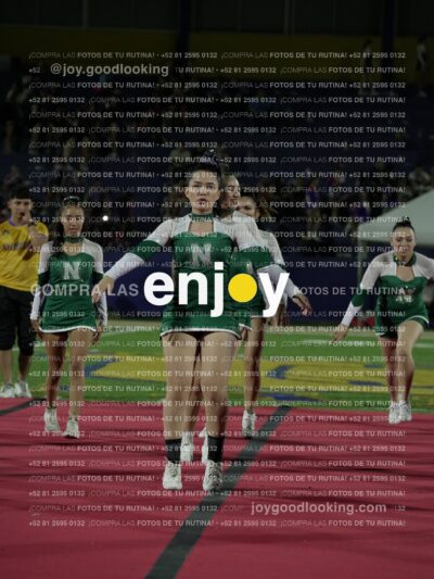 Joy08595