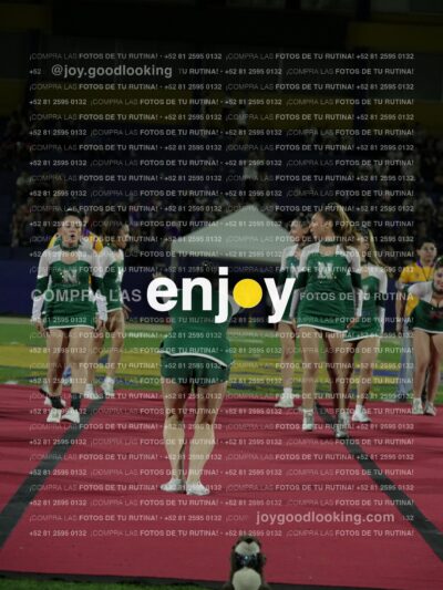 Joy08599
