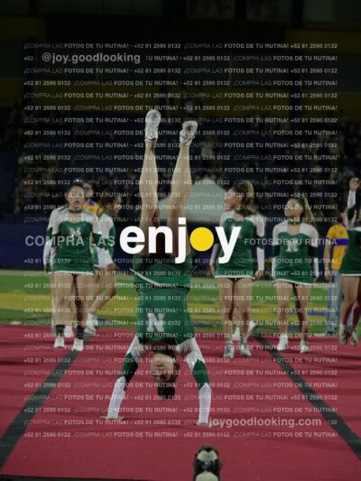 Joy08600