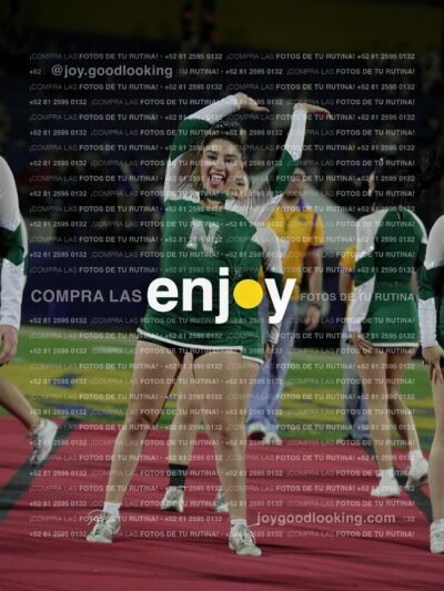 Joy08646