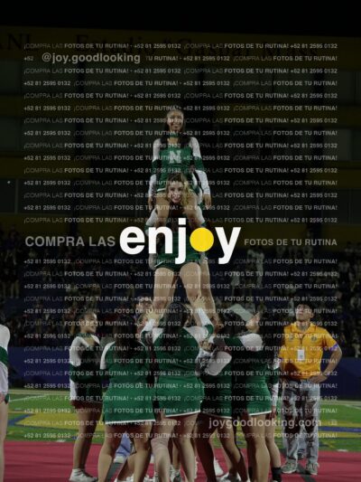 Joy08687