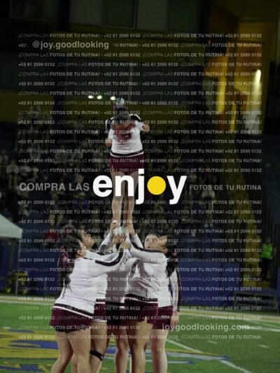 Joy08948