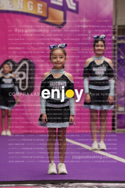 Joy08 Joy06540