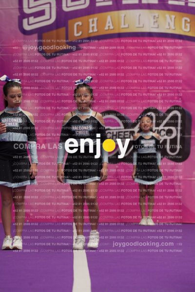 Joy08 Joy06541
