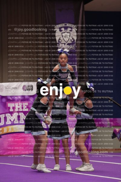 Joy08 Joy06553