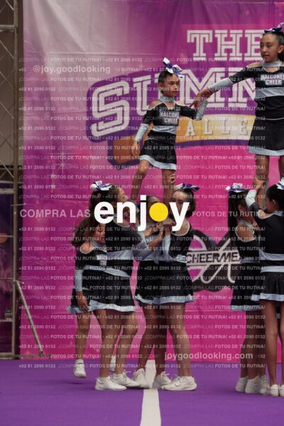 Joy08 Joy06567