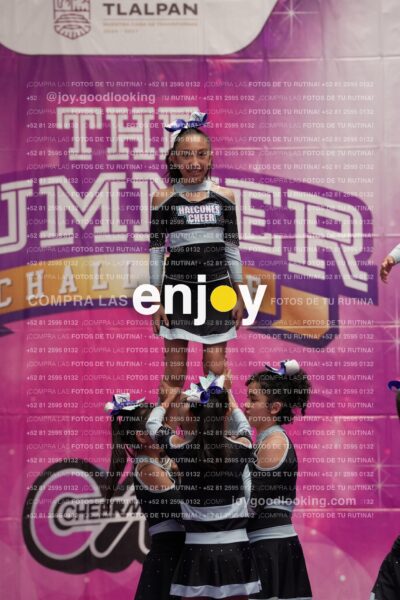 Joy08 Joy06577