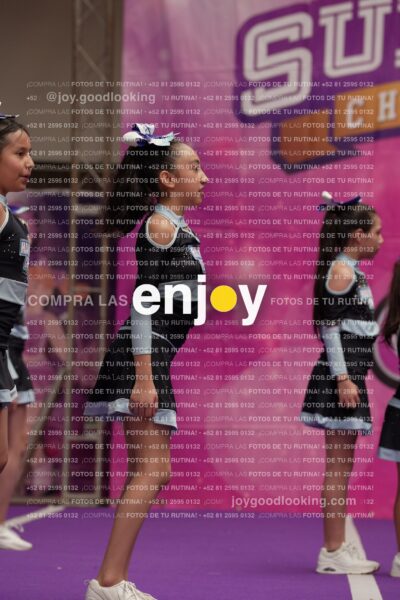 Joy08 Joy06579