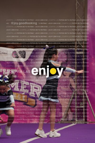 Joy08 Joy06597