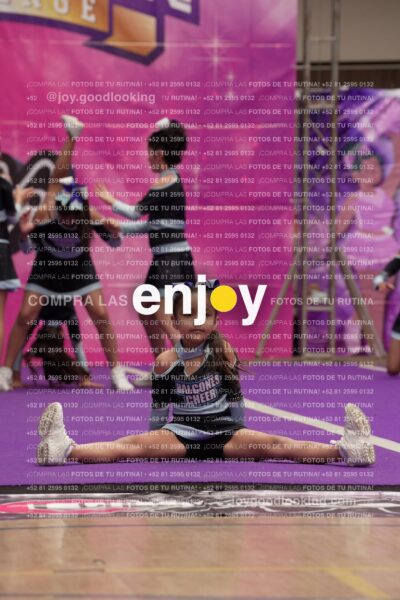 Joy08 Joy06598
