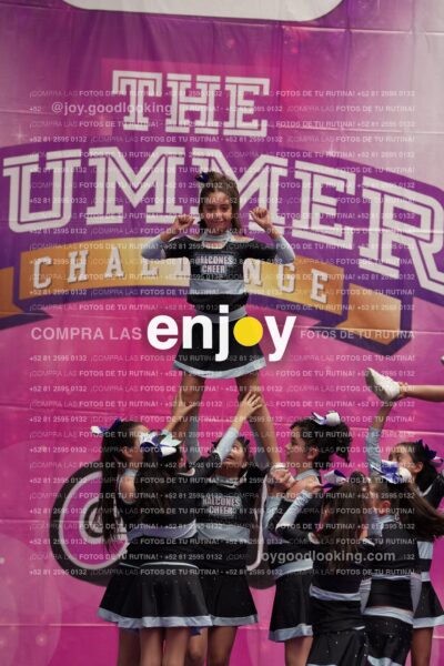 Joy08 Joy06616