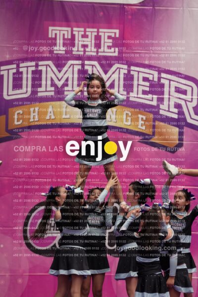 Joy08 Joy06617