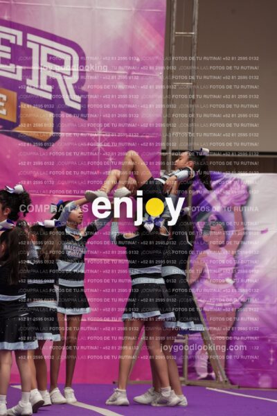Joy08 Joy06618