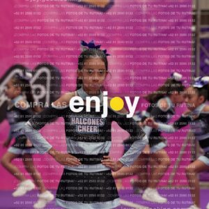 Joy08 Joy06642