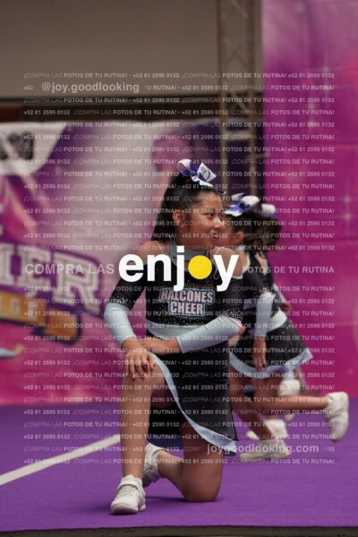 Joy08 Joy06643