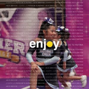 Joy08 Joy06643