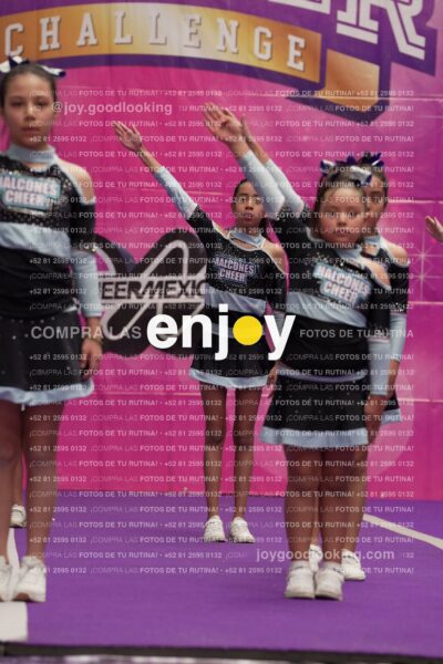 Joy08 Joy06675