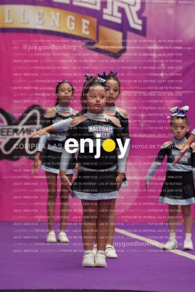 Joy08 Joy06677