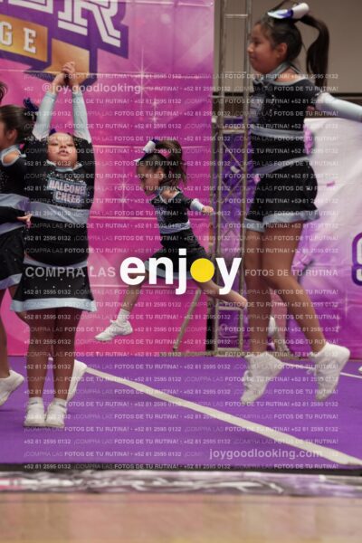 Joy08 Joy06681