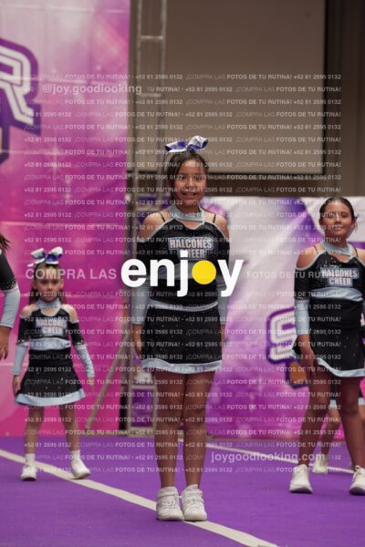 Joy08 Joy06684